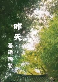 昨天暴雨预警说的什么