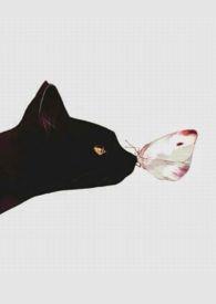 什么是人间好时节前几句