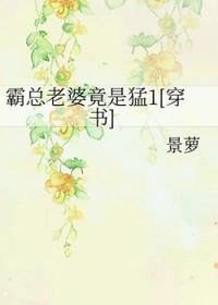霸总宠妻之路免费阅读全文
