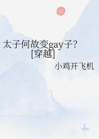 太子解释一下