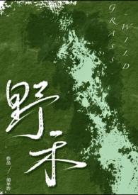 伪兄妹经典知乎