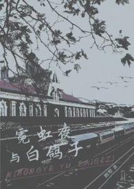 霓虹夜什么意思