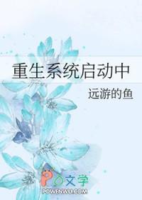 系统启动后重启