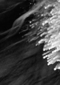 进入黑夜的漫长旅程玛丽