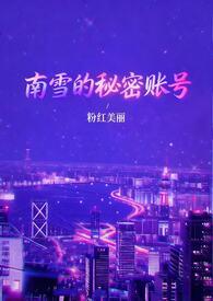 南雪公司