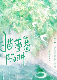 猫薄荷陷阱免费完结