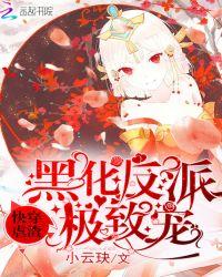 极致宠免费阅读