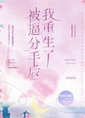 我分手后被女神主播告白