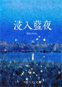 浸入蓝夜附带番外