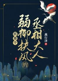 朕那个弱柳扶风的丞相大人免费阅读番外