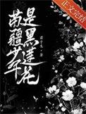 苗疆少年是黑莲花讲了什么