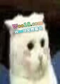 穿成一只猫全文免费阅读