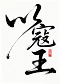 以寇王by排骨汤TXT免费