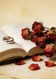 代价出了事故算谁的