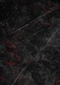 娇养npa免费阅读