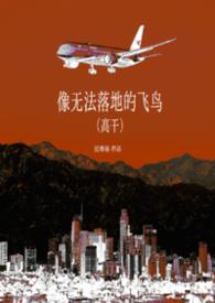 无法落地什么意思