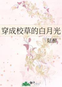 穿成校草的白月光肉