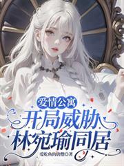 爱情公寓 开局和林宛瑜结婚