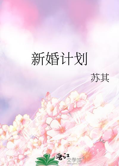 新婚计划苏其txt百度