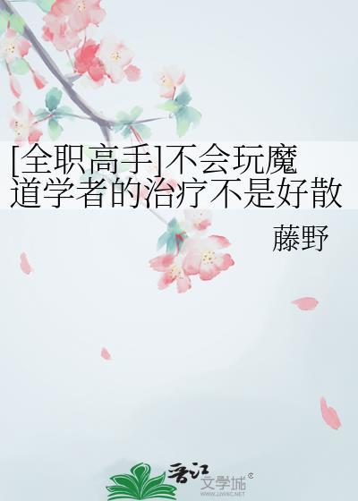 全职高手 真正的魔术师