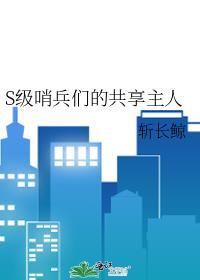 哨兵升级