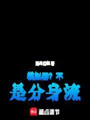 模拟器不是分身流无防盗