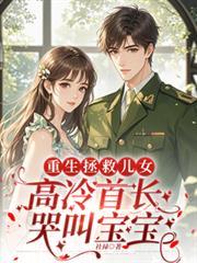 重生拯救儿女高冷首长哭叫宝宝