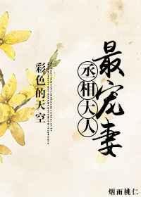 丞相大人宠妻无度江绵免费