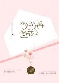你别再追我了txt盘