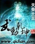 武动乾坤txt精校完整版