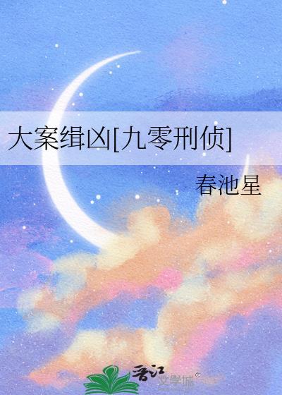 大案侦破