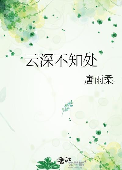 云深不知处歌词完整版
