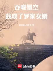 吞噬星空我成了罗家女婿笔趣阁免费