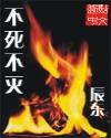 不死不灭是哪年写的