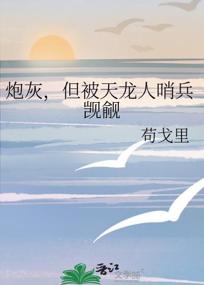 炮灰,但被天龙人哨兵觊觎